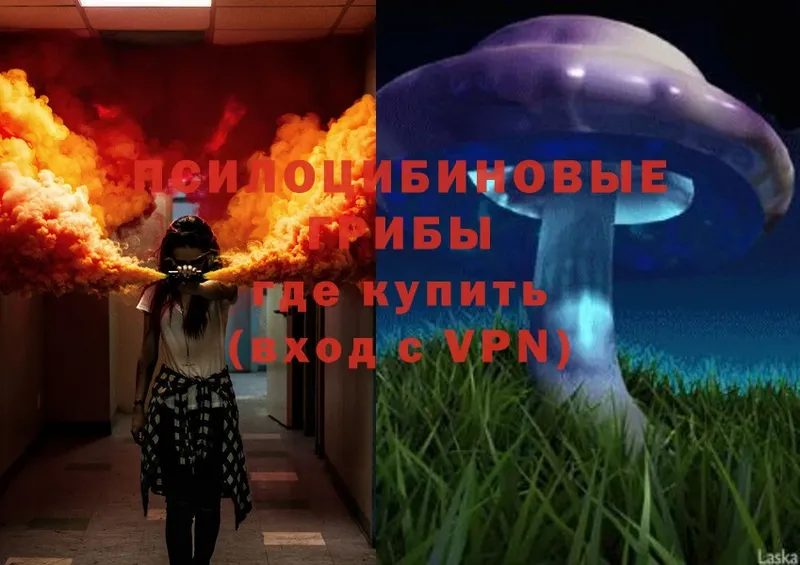 Галлюциногенные грибы Psilocybine cubensis  Анива 